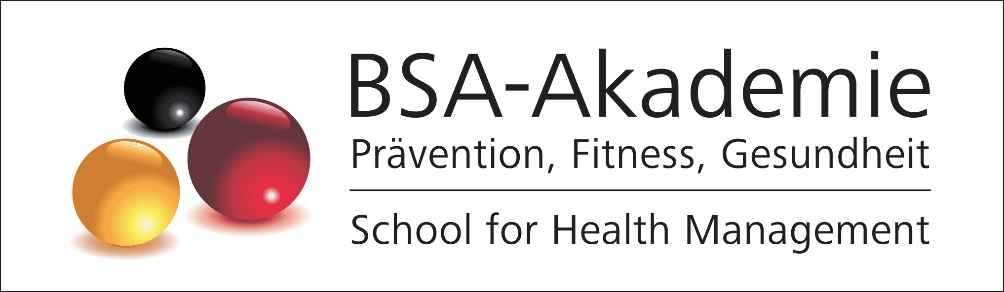 BSA-Akademie Logo